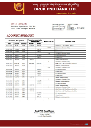 Download Bhutan Druk PNB bank statement word
